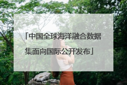 中国全球海洋融合数据集面向国际公开发布