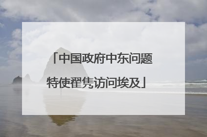 中国政府中东问题特使翟隽访问埃及