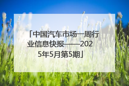 中国汽车市场一周行业信息快报——2025年5月第5期