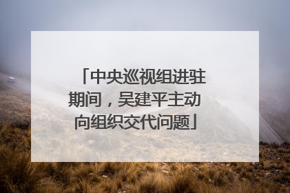 中央巡视组进驻期间，吴建平主动向组织交代问题