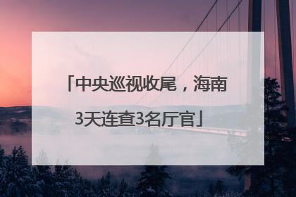 中央巡视收尾，海南3天连查3名厅官
