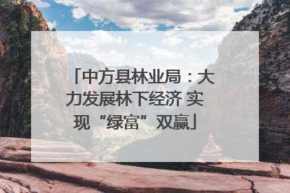 中方县林业局：大力发展林下经济 实现“绿富”双赢