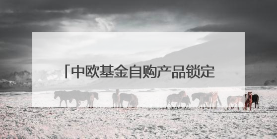 中欧基金自购产品锁定三年！明星战略折戟下信心背书能否打动市场