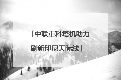 中联重科塔机助力刷新印尼天际线
