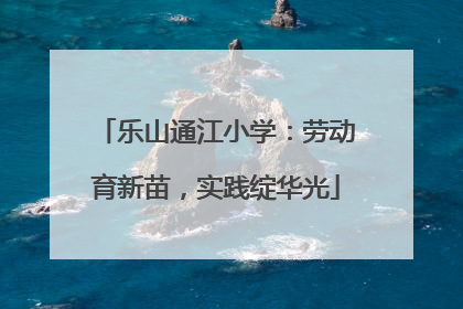 乐山通江小学：劳动育新苗，实践绽华光