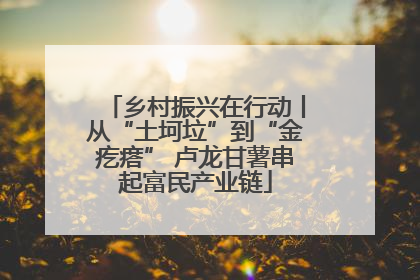 乡村振兴在行动丨从“土坷垃”到“金疙瘩” 卢龙甘薯串起富民产业链