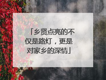 乡贤点亮的不仅是路灯，更是对家乡的深情