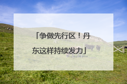 争做先行区！丹东这样持续发力