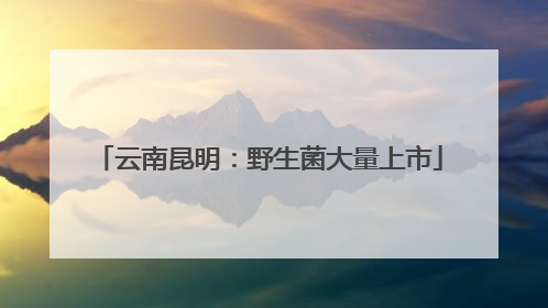 云南昆明：野生菌大量上市