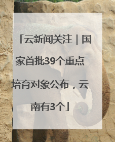 云新闻关注｜国家首批39个重点培育对象公布，云南有3个