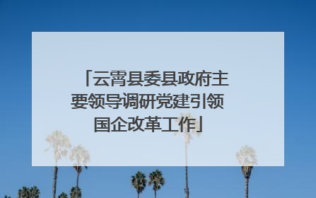 云霄县委县政府主要领导调研党建引领国企改革工作