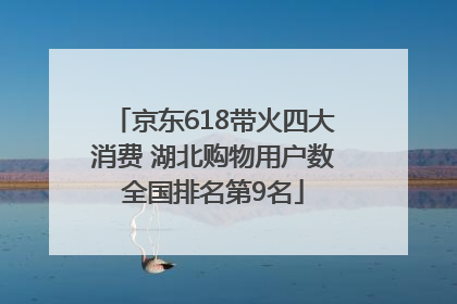 京东618带火四大消费 湖北购物用户数全国排名第9名