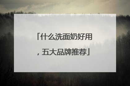 什么洗面奶好用，五大品牌推荐