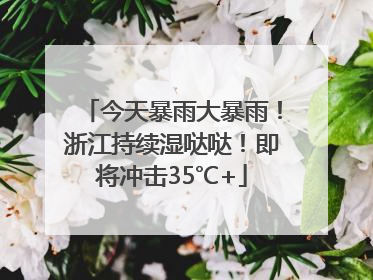 今天暴雨大暴雨！浙江持续湿哒哒！即将冲击35℃+