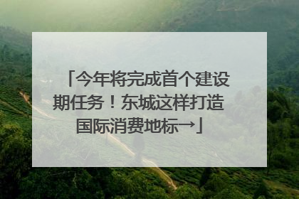 今年将完成首个建设期任务！东城这样打造国际消费地标→