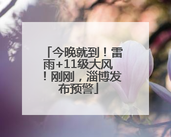 今晚就到！雷雨+11级大风！刚刚，淄博发布预警