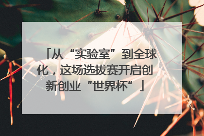 从“实验室”到全球化，这场选拔赛开启创新创业“世界杯”