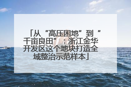 从“高压困地”到“千亩良田”：浙江金华开发区这个地块打造全域整治示范样本