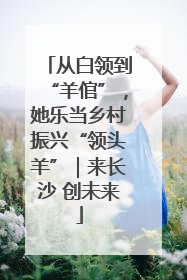 从白领到“羊倌”，她乐当乡村振兴“领头羊”｜来长沙 创未来