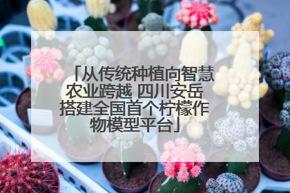 从传统种植向智慧农业跨越 四川安岳搭建全国首个柠檬作物模型平台