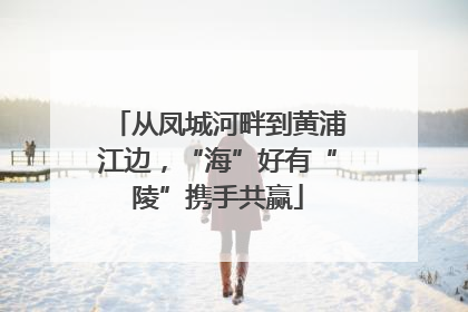 从凤城河畔到黄浦江边，“海”好有“陵”携手共赢