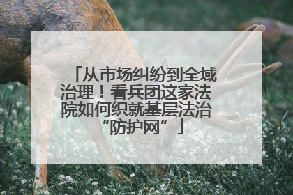 从市场纠纷到全域治理！看兵团这家法院如何织就基层法治 “防护网”