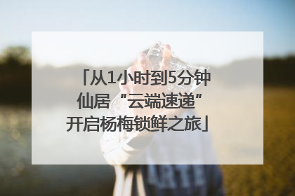 从1小时到5分钟 仙居“云端速递”开启杨梅锁鲜之旅