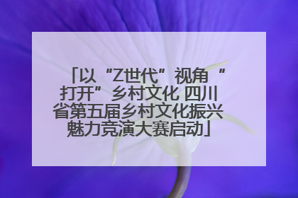 以“Z世代”视角“打开”乡村文化 四川省第五届乡村文化振兴魅力竞演大赛启动