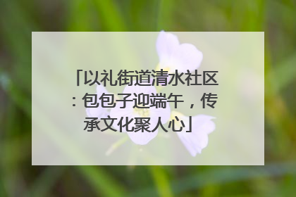 以礼街道清水社区：包包子迎端午，传承文化聚人心