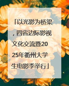 以光影为桥梁，四省边际影视文化交流暨2025年衢州大学生电影季举行