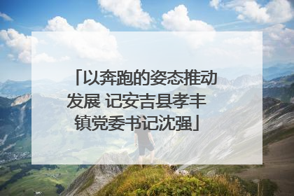 以奔跑的姿态推动发展 记安吉县孝丰镇党委书记沈强