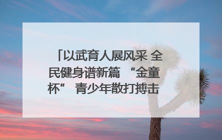 以武育人展风采 全民健身谱新篇 “金童杯” 青少年散打搏击邀请赛圆满落幕