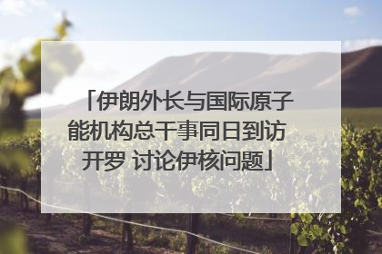 伊朗外长与国际原子能机构总干事同日到访开罗 讨论伊核问题