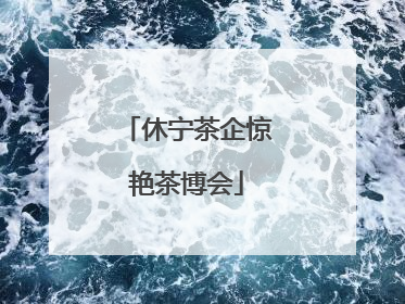 休宁茶企惊艳茶博会