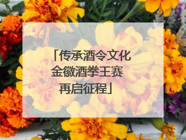 传承酒令文化 金徽酒拳王赛再启征程