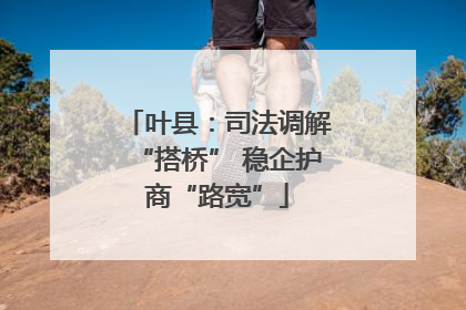 叶县：司法调解“搭桥” 稳企护商“路宽”