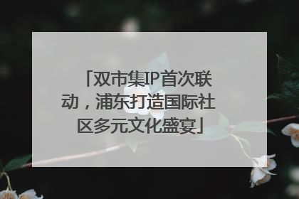 双市集IP首次联动，浦东打造国际社区多元文化盛宴