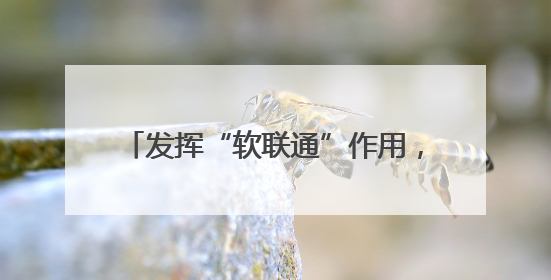 发挥“软联通”作用，粤港澳大湾区“湾区标准”总数达235项
