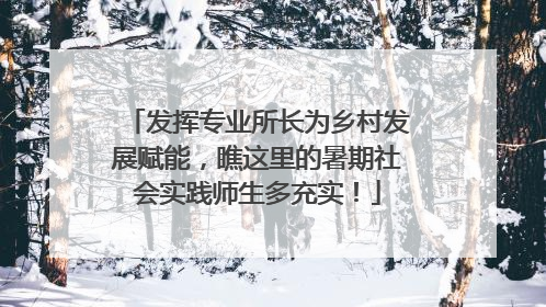 发挥专业所长为乡村发展赋能，瞧这里的暑期社会实践师生多充实！