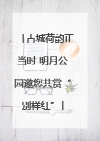 古城荷韵正当时 明月公园邀您共赏“别样红”