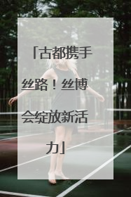 古都携手丝路！丝博会绽放新活力