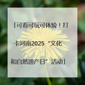 可看可玩可体验！打卡河南2025“文化和自然遗产日”活动