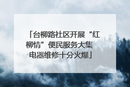 台柳路社区开展“红柳情”便民服务大集 电器维修十分火爆