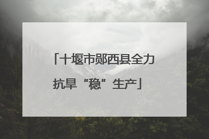十堰市郧西县全力抗旱“稳”生产