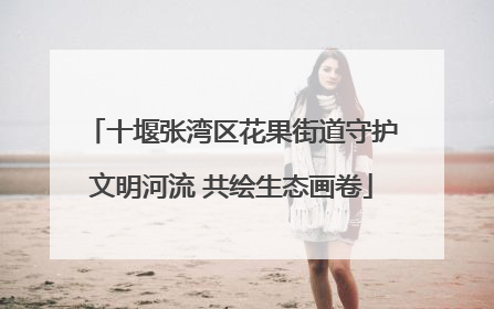 十堰张湾区花果街道守护文明河流 共绘生态画卷