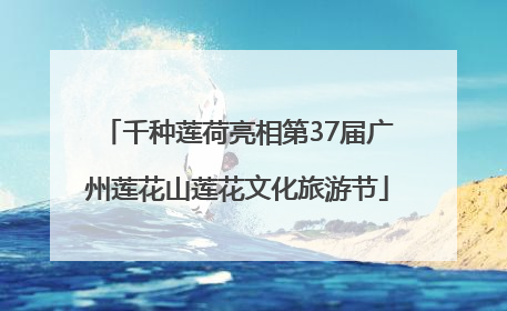 千种莲荷亮相第37届广州莲花山莲花文化旅游节