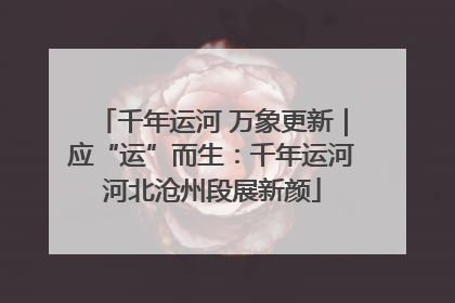 千年运河 万象更新｜应“运”而生：千年运河河北沧州段展新颜