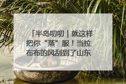 半岛叨叨｜就这样把你“蒸”服！当拉布布的风刮到了山东馒头界……