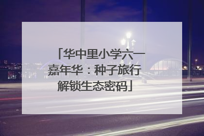 华中里小学六一嘉年华：种子旅行解锁生态密码