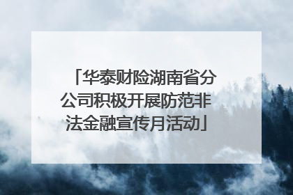华泰财险湖南省分公司积极开展防范非法金融宣传月活动